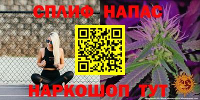 твердый Шелехов