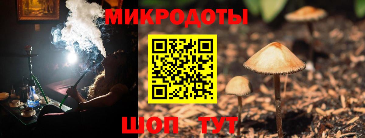 продажа наркотиков  Вход с VPN  Братск  Галлюциногенные грибы Cubensis  Галлюциногенные грибы ЛСД 